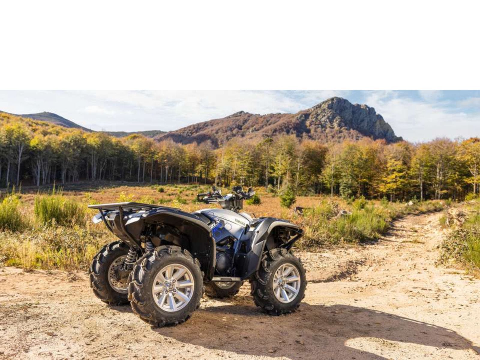 Мотовездеход ATV YAMAHA Grizzly 700 EPS SE 25 TH Anniversary (Low Gloss Black) 2024
